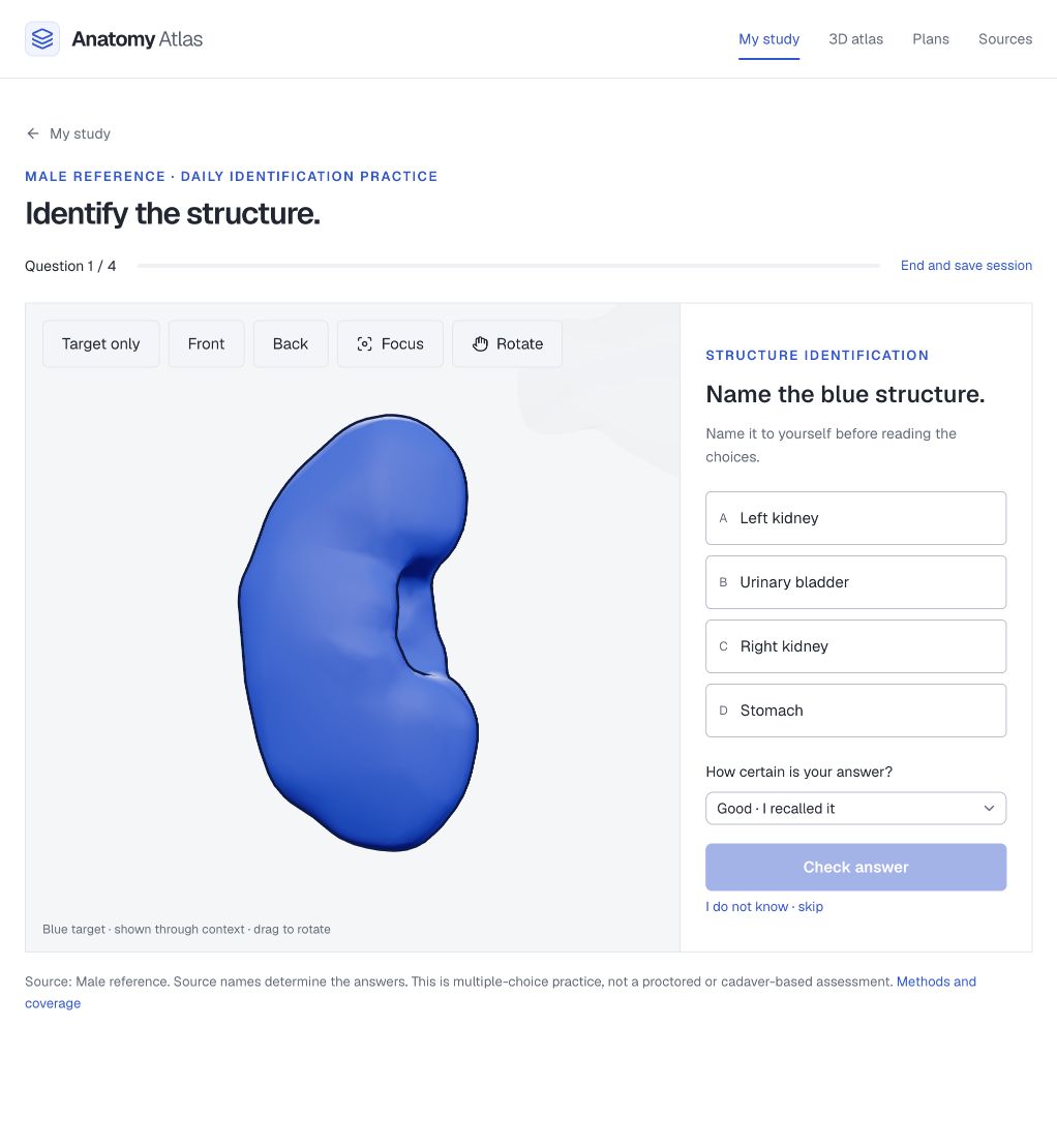 A real 3D quiz showing the blue target, faded surrounding anatomy and four answer choices.